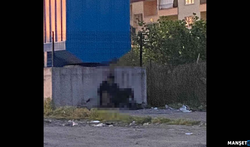 Köpeğe c*nsel istismar... Gözaltı var...
