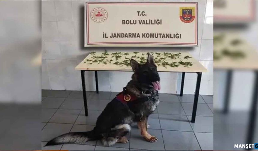 K*nevir operasyonu: 3 tutuklama...