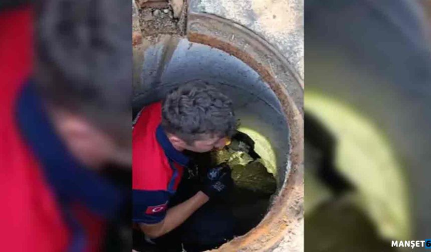 Rögara düşen kedi itfaiye ekibi tarafından kurtarıldı
