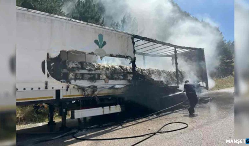 TIR’ın dorsesinde çıktı… Ağaçlara sıçradı…