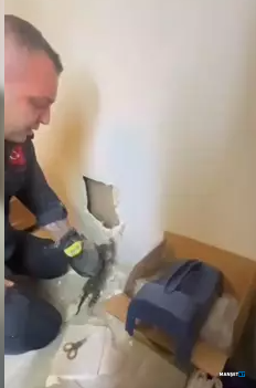 Ekran Görüntüsü 2025 05 21 164150
