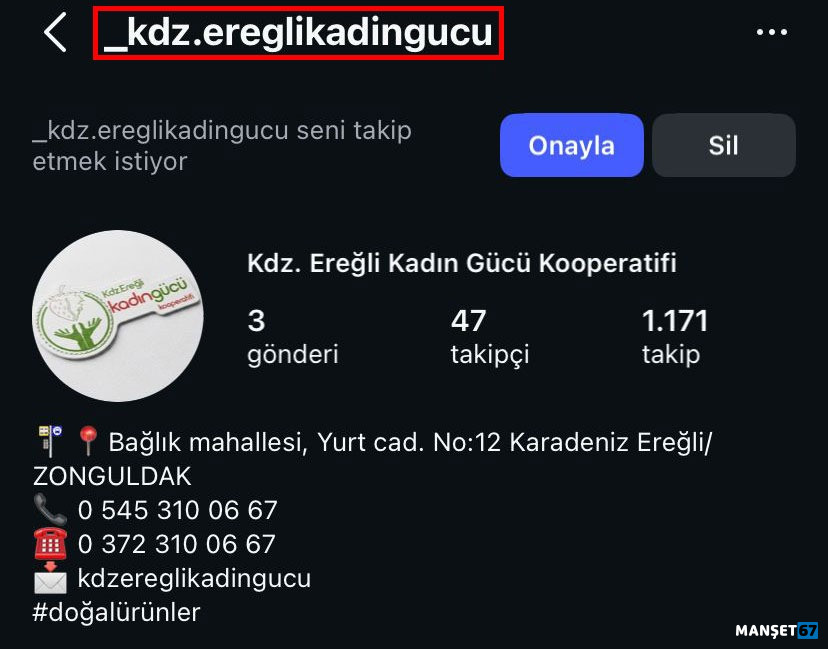 I M G 20260116 W A0059