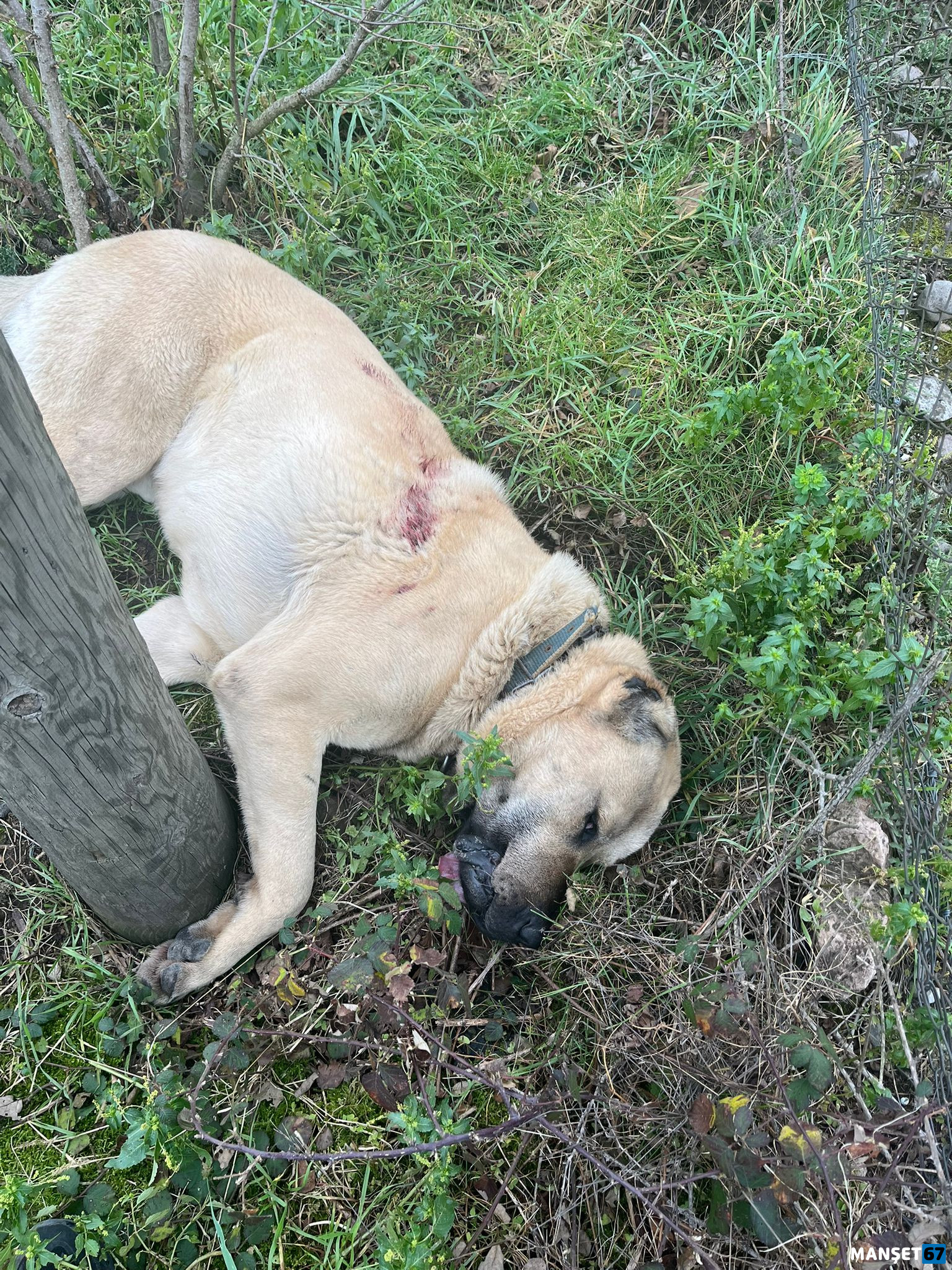 Whatsapp Image 2026 01 29 At 15.02.10