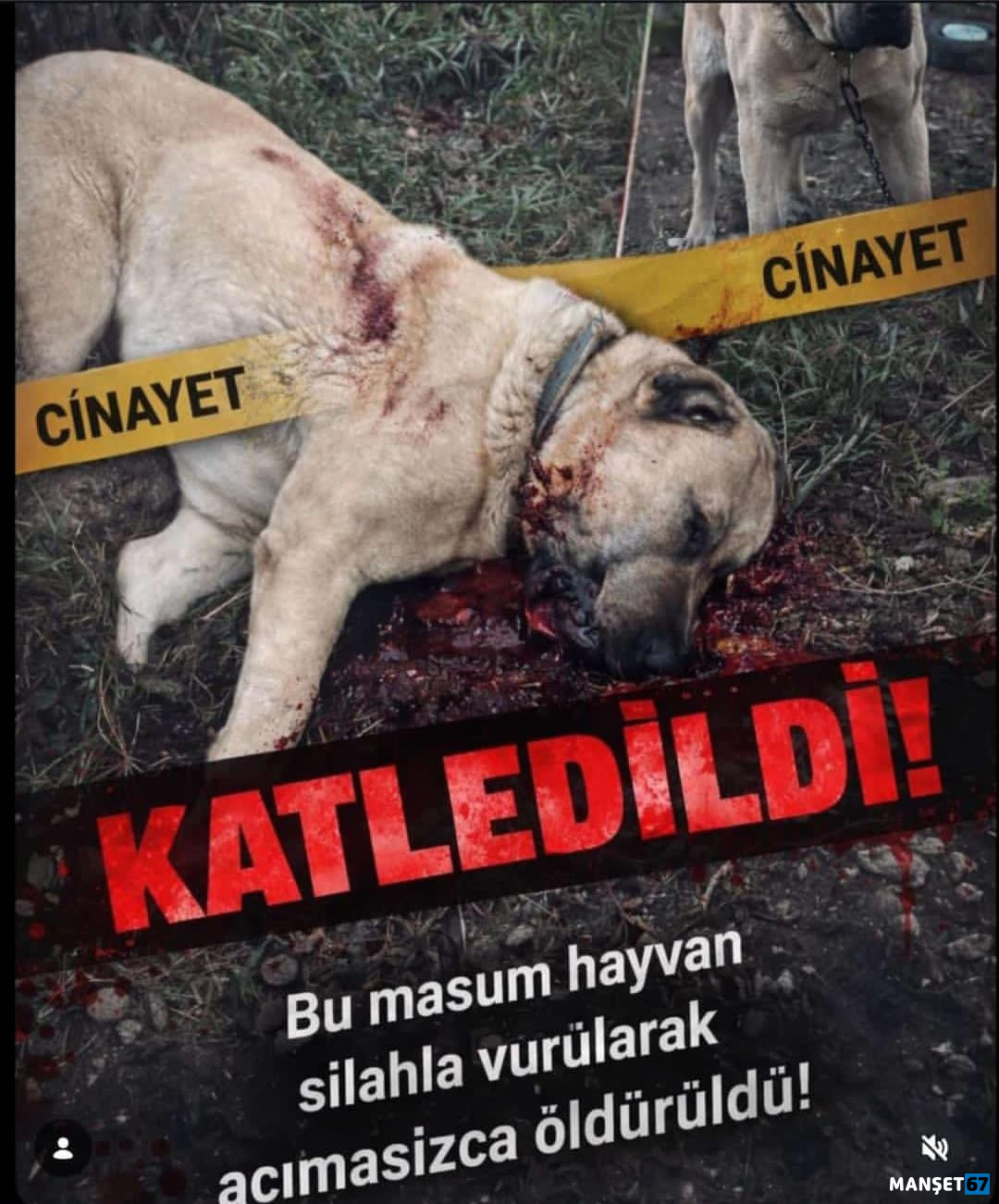 Whatsapp Image 2026 01 29 At 19.42.50