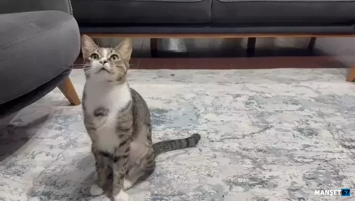 69Be4B438811E84A7Fff42C7