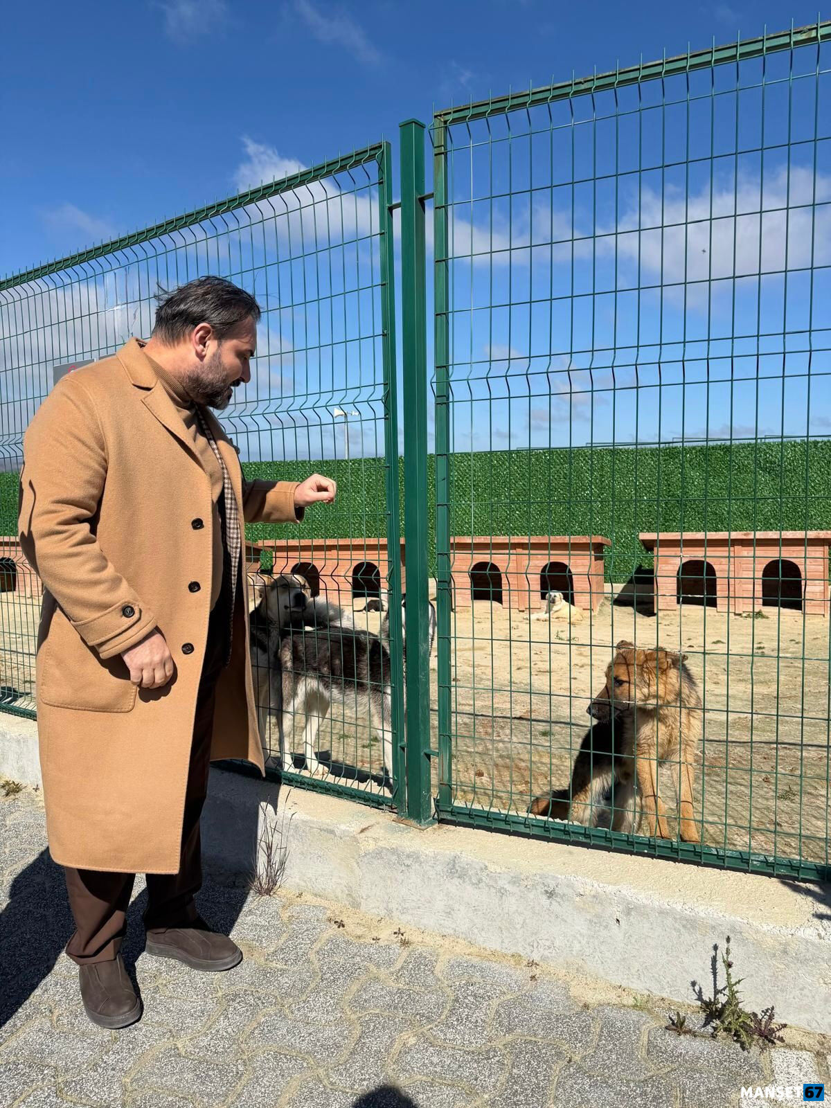 I M G 20260310 W A0089