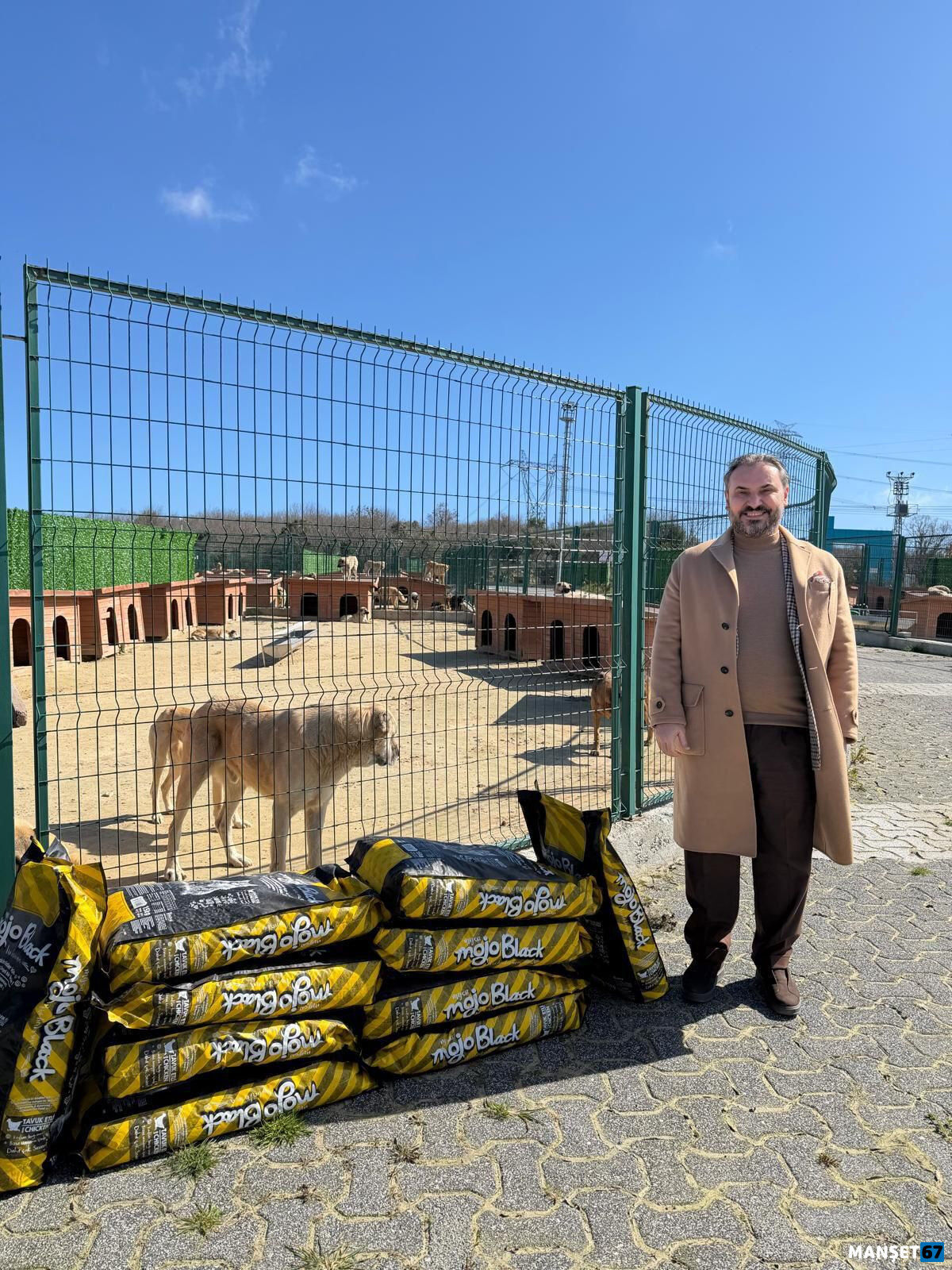 I M G 20260310 W A0090